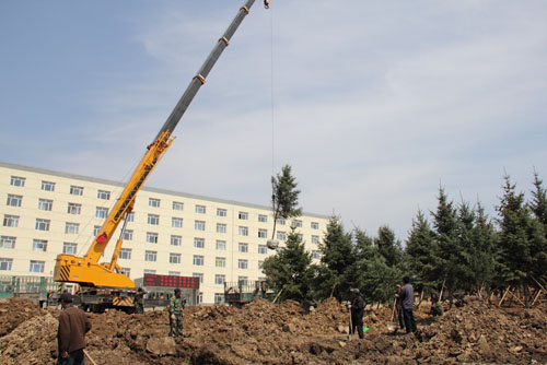 598bb281cfe8d.jpg 1.jpg