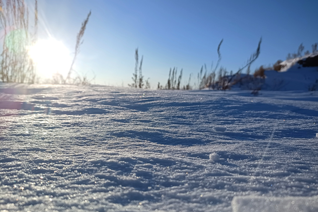 65fbf9a5e01fa.jpg 稿件配圖1.jpg